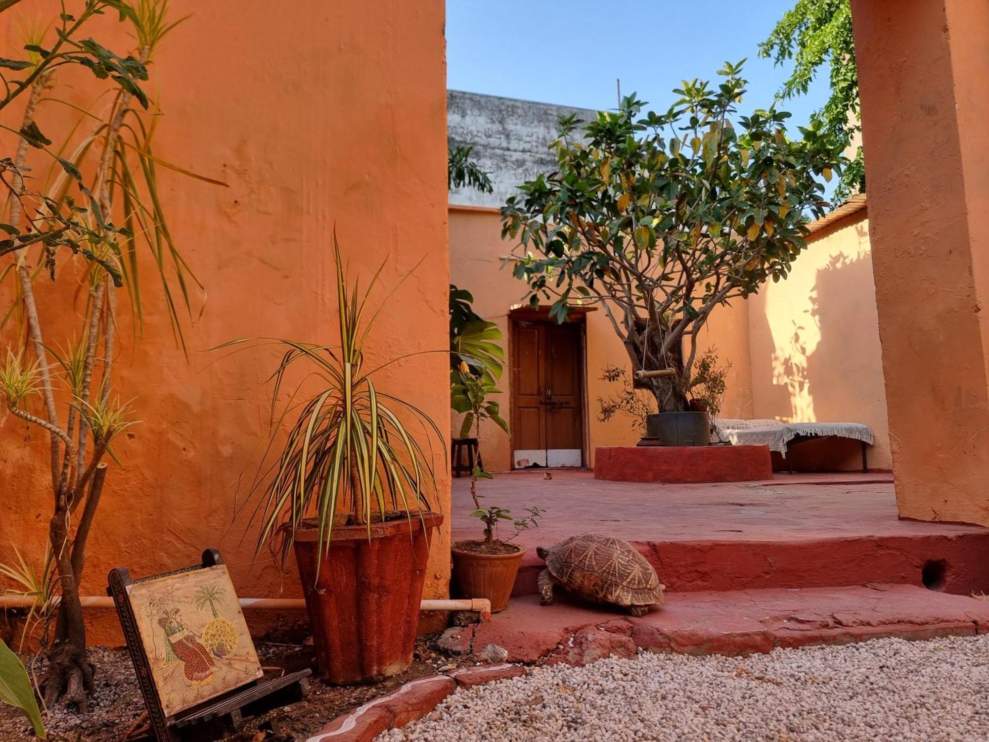 Karavan Kafe Pushkar Exterior foto